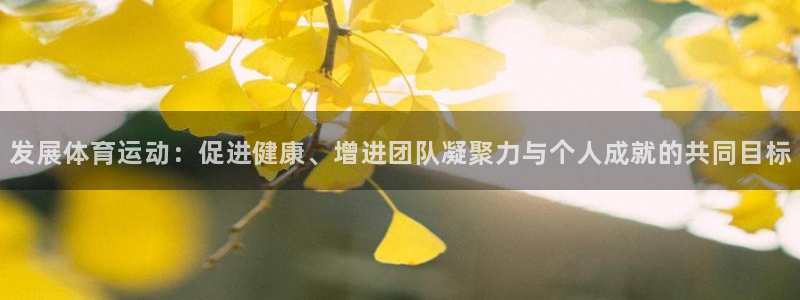 风速体育直播app：发展体育运动：促进健康、增进团队凝聚力与个人成就的共同目标