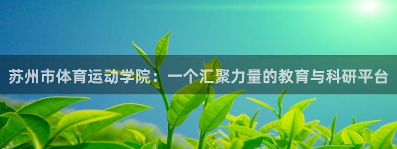 风速体育app官方下载：苏州市体育运动学院：一个汇聚力量的教育与科研平台