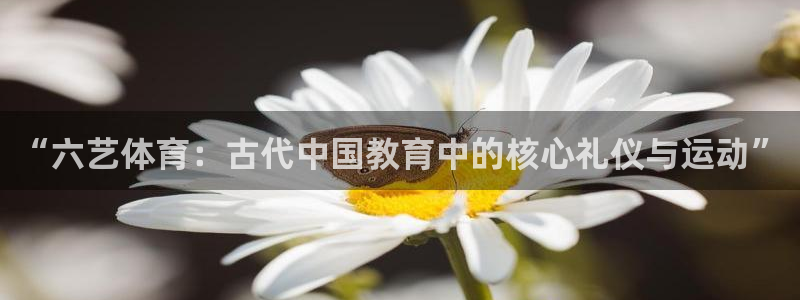 风速体育app下载官网最新版：“六艺体育：古代中国教育中的核心礼仪与运动”