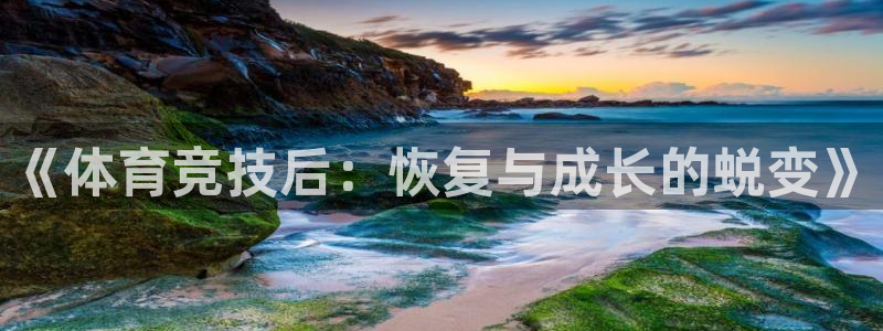 风速体育官网：《体育竞技后：恢复与成长的蜕变》