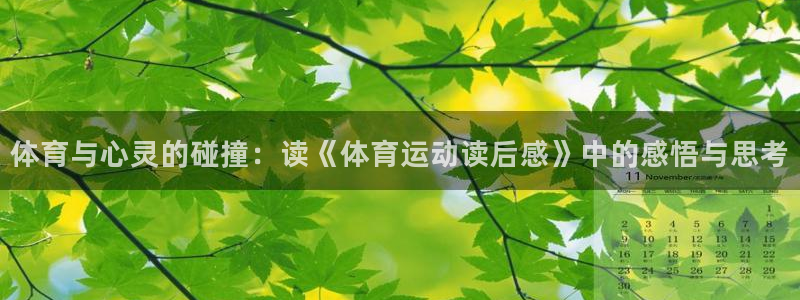 风速体育app下载官网最新版：体育与心灵的碰撞：读《体育运动读后感》中的感悟与思考