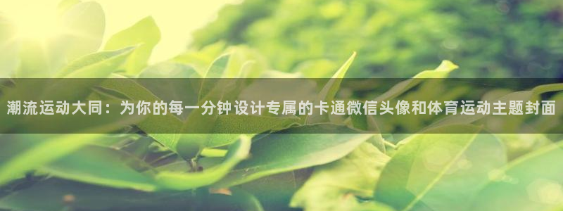 风速体育cba直播