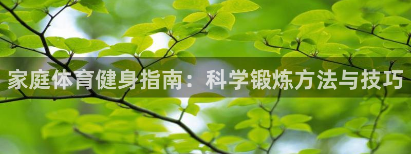 风速体育nba免费直播