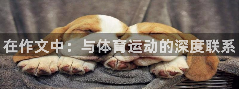 风速体育cba直播