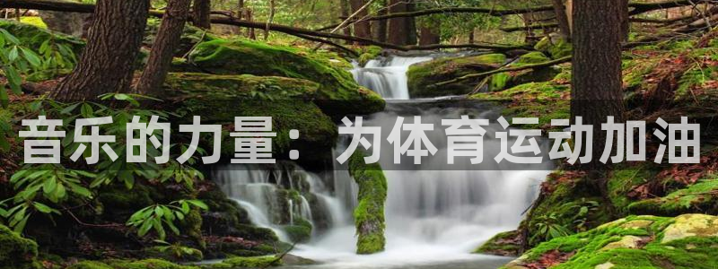 风速体育app下载安装最新版本