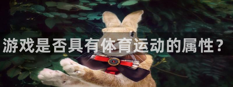 风速体育