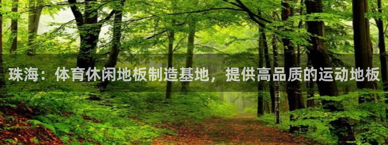 风速体育官网