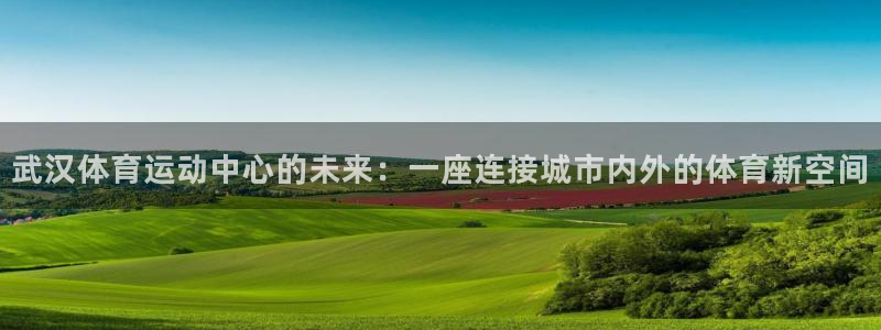 风速体育app：武汉体育运动中心的未来：一座连接城市内外的体育新空间