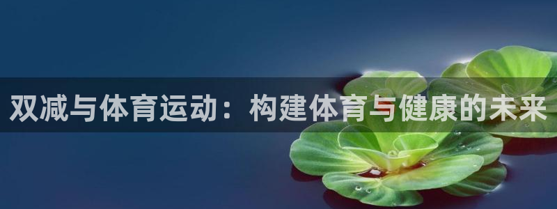 风速体育app官方下载：双减与体育运动：构建体育与健康的未来