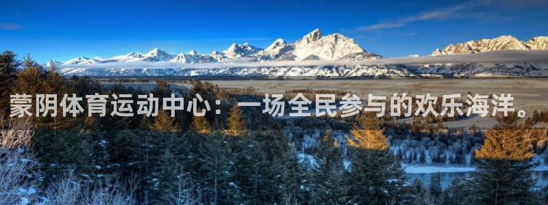 风速体育app下载官网最新版