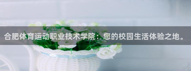 风速体育nba免费直播